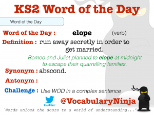 KS2 Word of the Day | Vocabulary Ninja