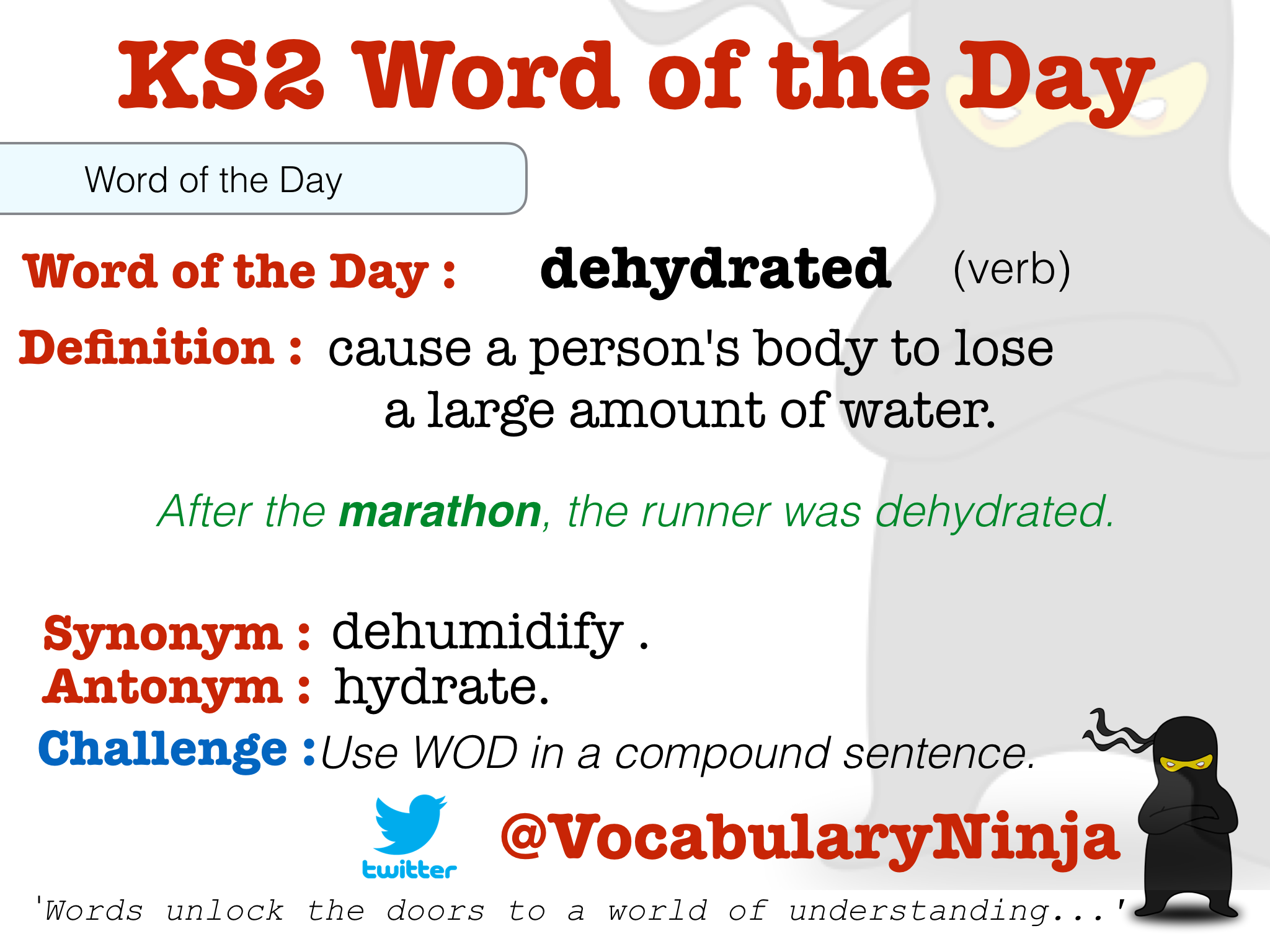 KS2 Word of the Day | Vocabulary Ninja