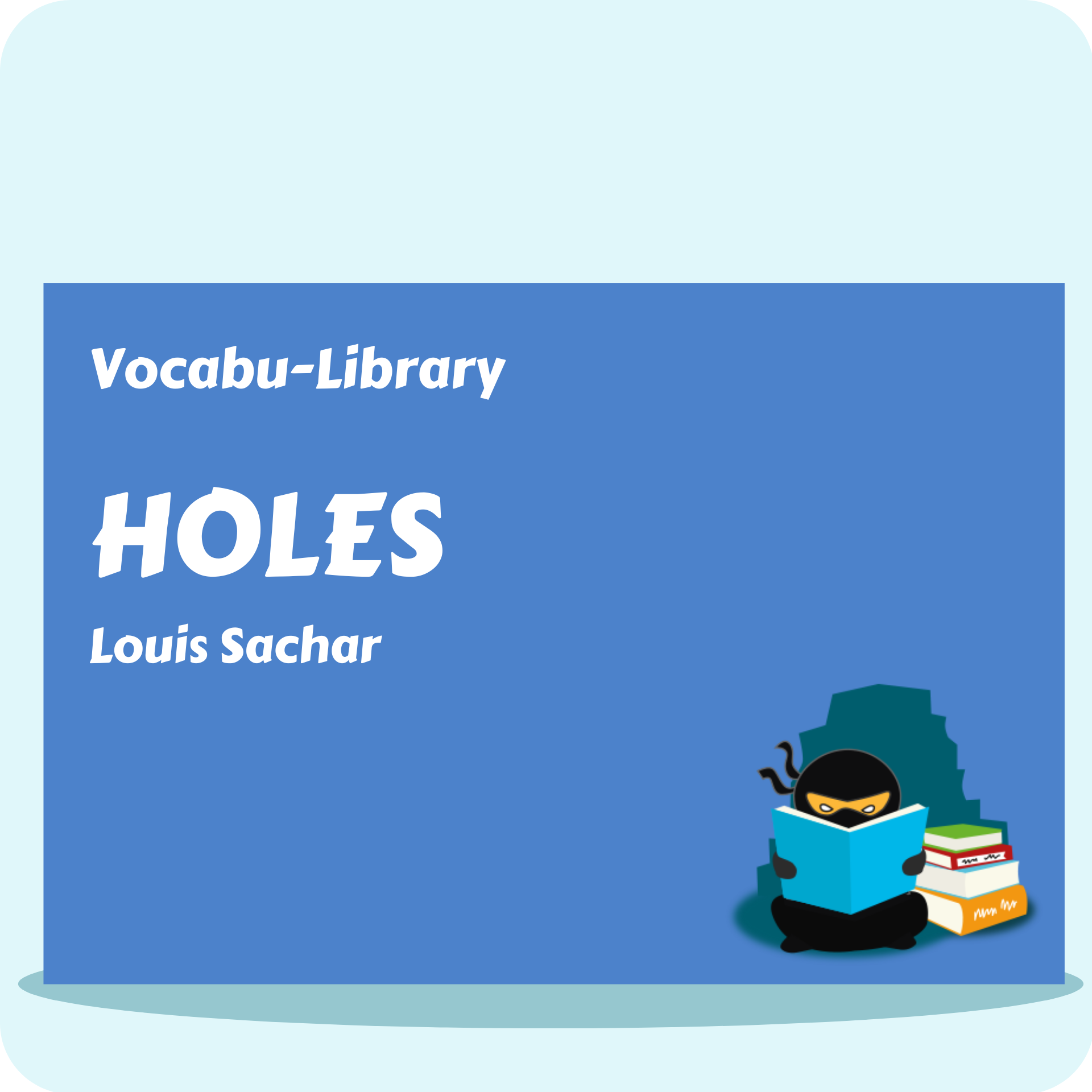 Holes Vocabulary Ninja