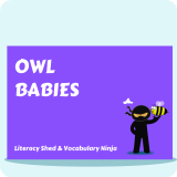 Owl Babies
