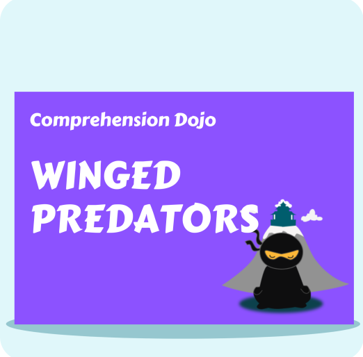 Winged Predators - Comprehension Dojo