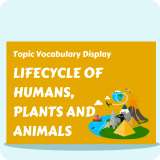Lifecycles of Humans, Plants and Animals