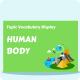 Human Body Vocabulary Display Pack