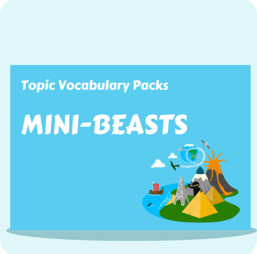Mini-Beast Topic Vocabulary Pack