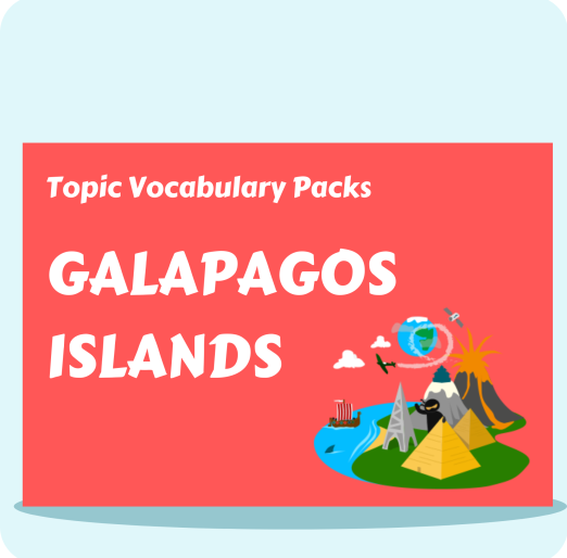 Topic Vocabulary Packs (13)