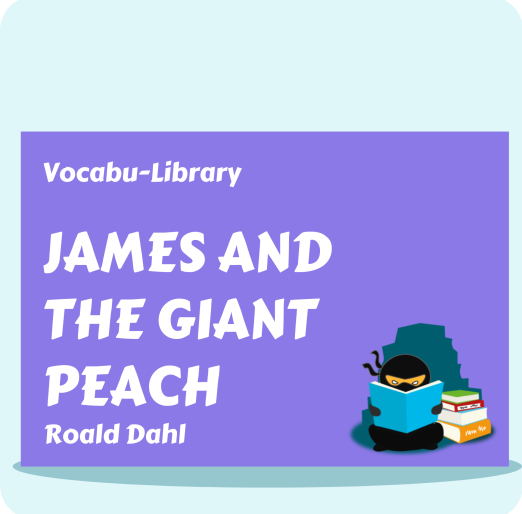 Vocabu-Library (1)