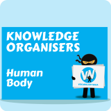 Human Body Knowledge Organiser