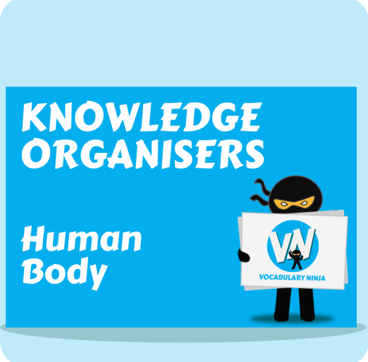 Human Body Knowledge Organiser