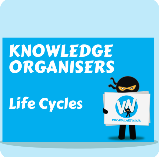 KO Life Cycles