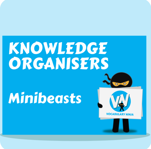 Minibeasts Knowledge Organiser