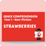 Quick Comprehension - Year 1 - Non-Fiction - Strawberries
