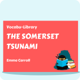 The Somerset Tsunami