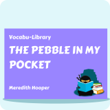 The Pebble in my Pocket