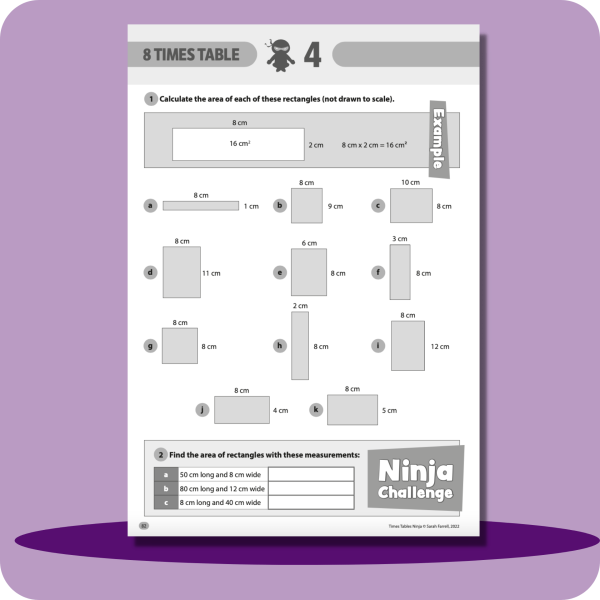 Times Tables Ninja Vocabulary Ninja