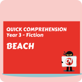 Quick Comprehension - Year 3 - Fiction - Beach