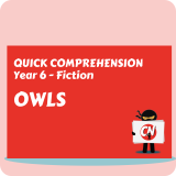 Quick Comprehension - Year 6 - Fiction - Owls