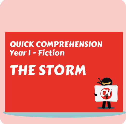 Quick Comprehension - Year 1 - Fiction - The Storm