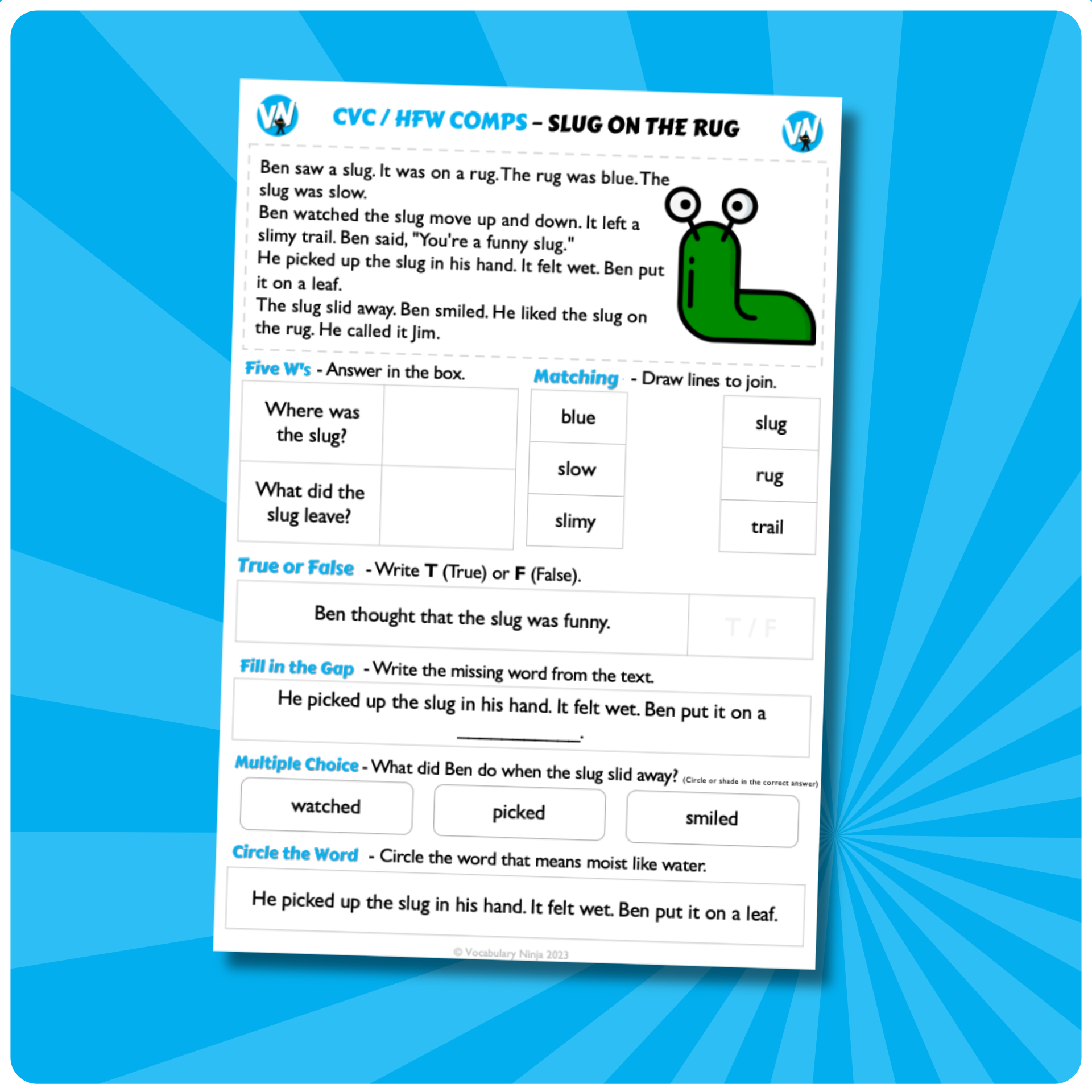 Slug on the Rug – CVC / HFW QC – Vocabulary Ninja