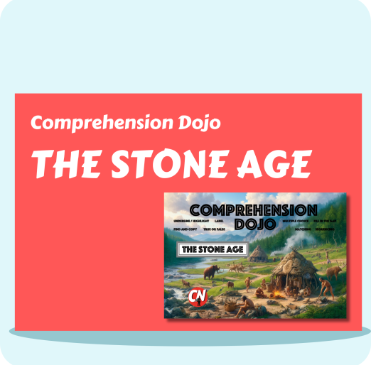 The Stone Age
