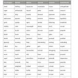 Vocabulary Ninja 2nd Edition