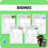 Quick Comprehension Topic Bundle – Y1 to Y6 Bundle (61 Topics)