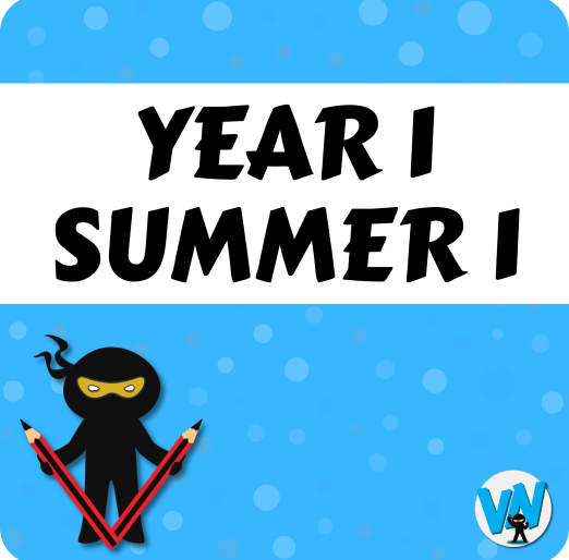 Spelling System Year 1 - Summer 1