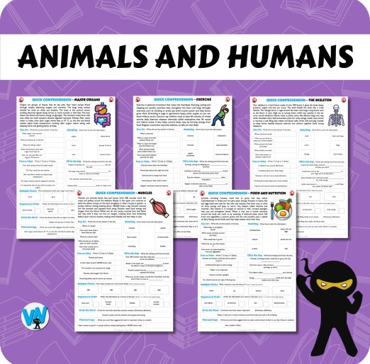 Quick Comprehension Topic Bundle - Y3 Animals and Humans