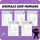 Quick Comprehension Topic Bundle – Y3 Bundle (10 packs)