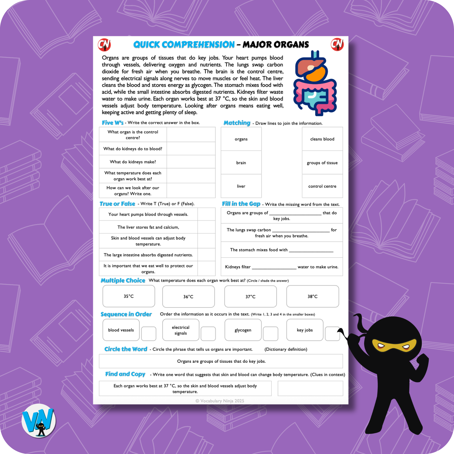Quick Comprehension Topic Bundle – Y3 Animals and Humans – Vocabulary Ninja
