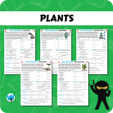 Quick Comprehension Topic Bundle – Y3 Bundle (10 packs)