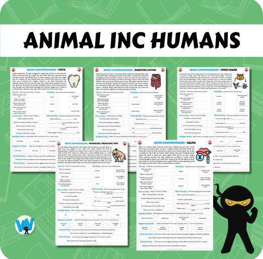 Quick Comprehension Topic Bundle - Y4 Animals and Humans