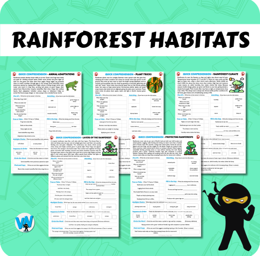 Quick Comprehension Topic Bundle - Y4 Rainforest Habitats