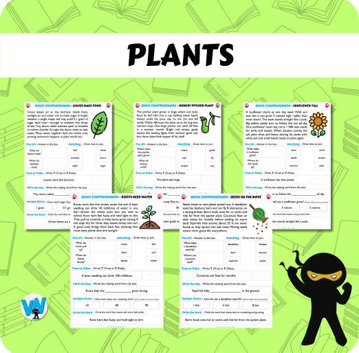 Quick Comprehension Topic Bundle - Y2 Plants