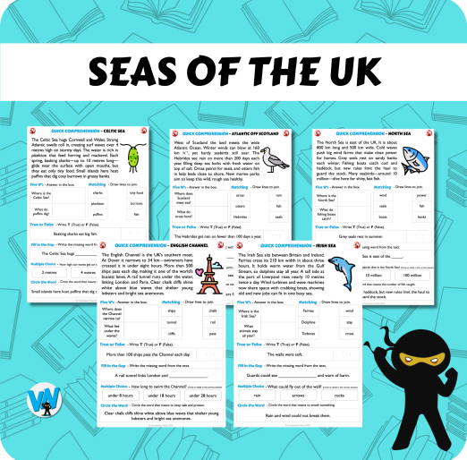 Quick Comprehension Topic Bundle - Y2 Seas of the UK