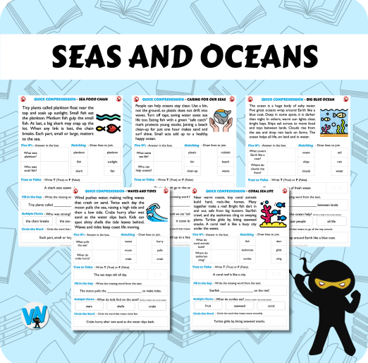 Quick Comprehension Topic Bundle - Y1 - Seas and Oceans