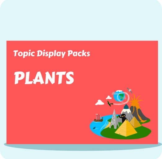 Plants Vocabulary Display Pack