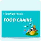 Food Chains