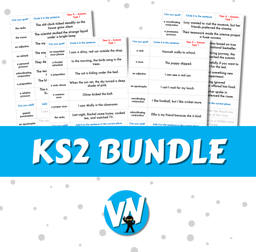 SPaG Spotter - KS2 Bundle - Y3 to Y6