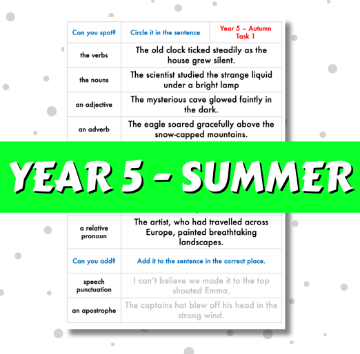 SPaG Spotter - Year 5 - Summer Term