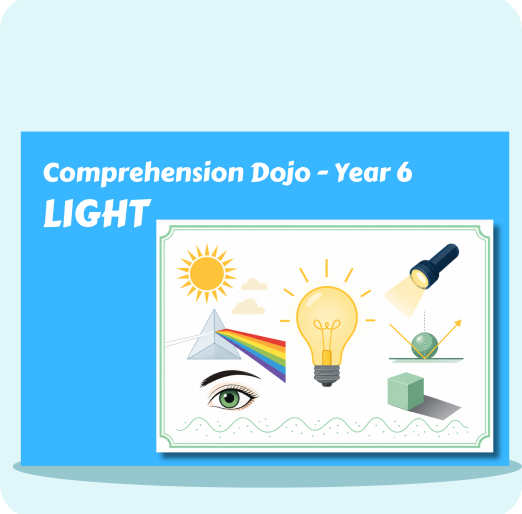 Comprehension Dojo Light Y6
