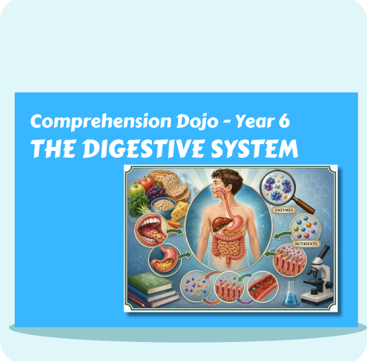 Comprehension Dojo The Digestive System and Nutrition Y6