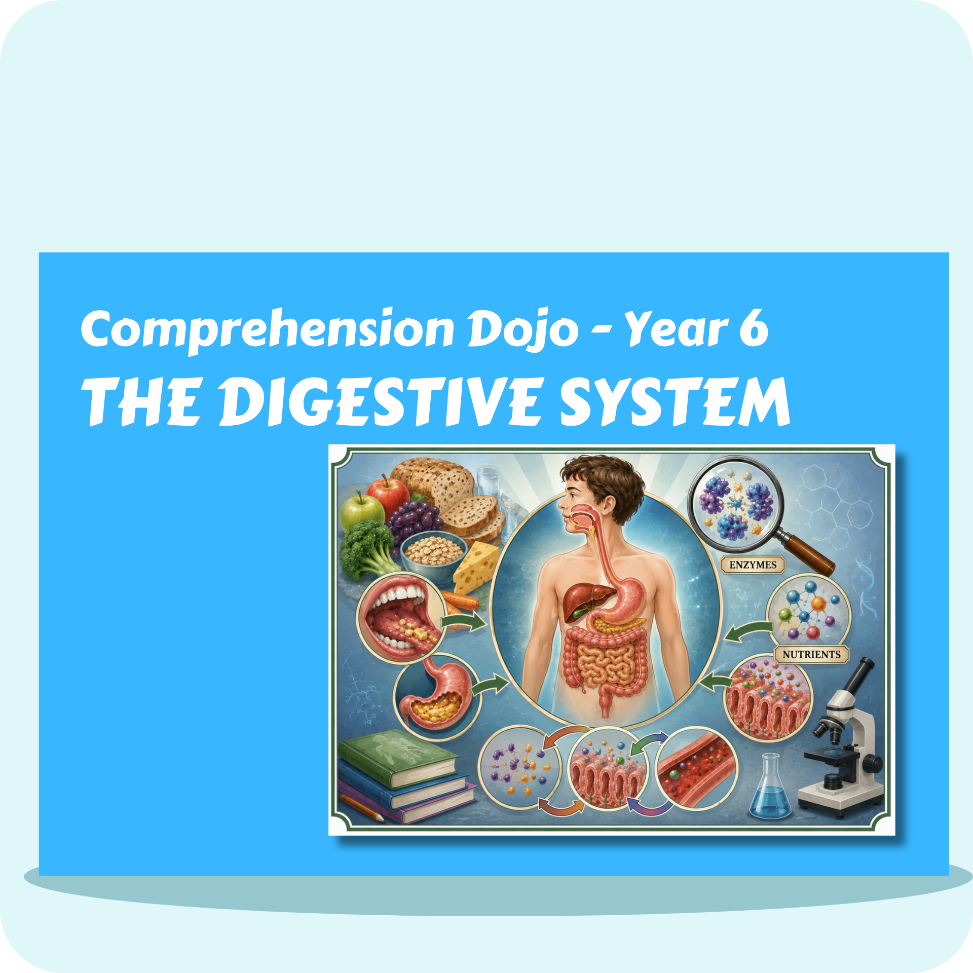 Comprehension Dojo The Digestive System and Nutrition Y6