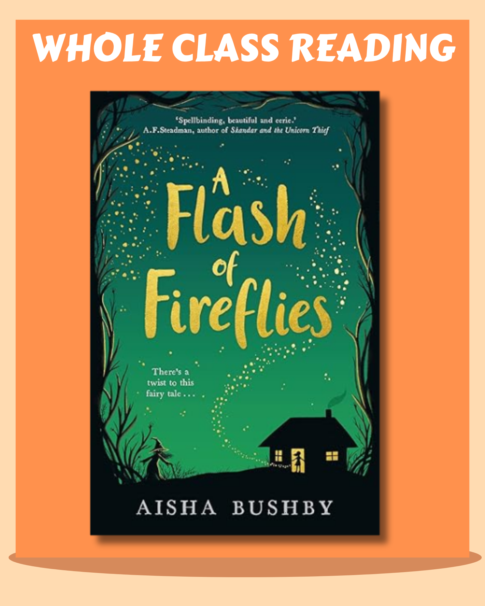 Whole Class Reading- A Flash of Fireflies