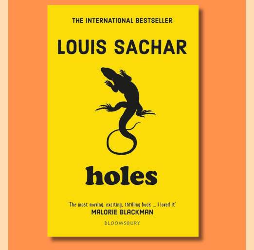 Whole Class Reading – Holes