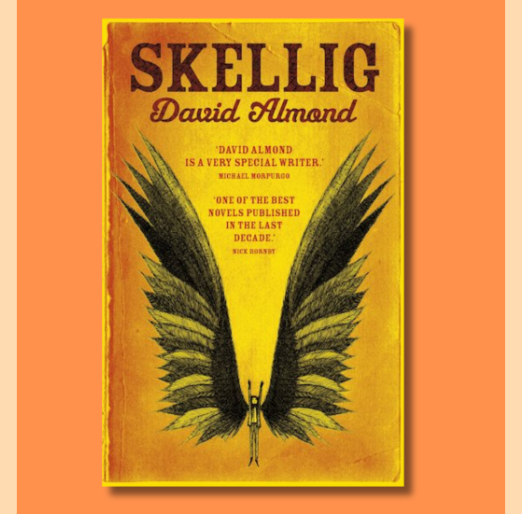 Whole Class Reading – Skellig