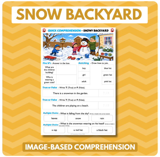Image-Based Comprehension – Y1/Y2 - Snowy Backyard