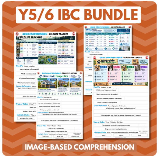 Image-Based Comprehension – Y5/Y6 Bundle (20 Pack)