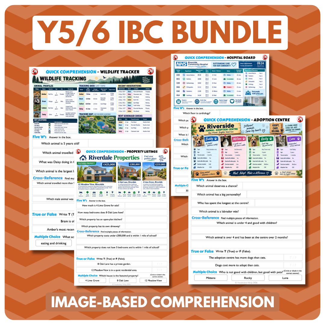 Image-Based Comprehension – Y5/Y6 Bundle (20 Pack)